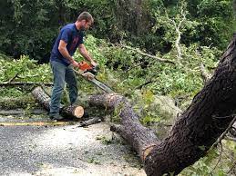 Best Aeration Services  in Parker City, IN